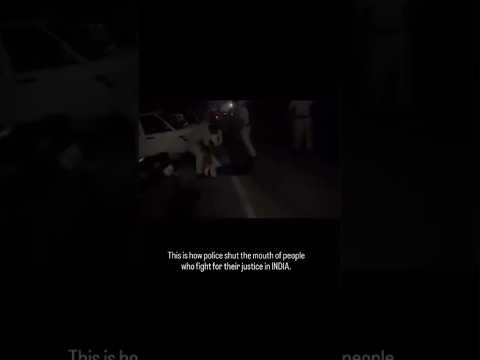 #straydog #dogs #doglove #rohini #delhipolice #news #morningnews #supremecourtofindia