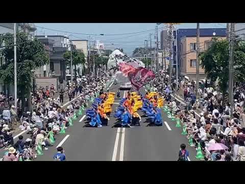 商学科 小樽商科大学"翔楽舞" 「轟」 第32回YOSAKOIソーラン祭り 新琴似会場