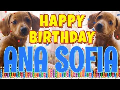 Happy Birthday Ana Sofia! ( Funny Talking Dogs ) What Is Free On My Birthday