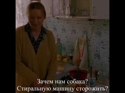 Давай собаку купим Мам [сергей безруков]