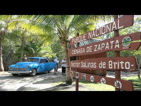 De la Camargue à la Cienaga de Zapata