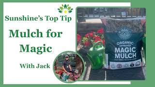 Mulch Magic!