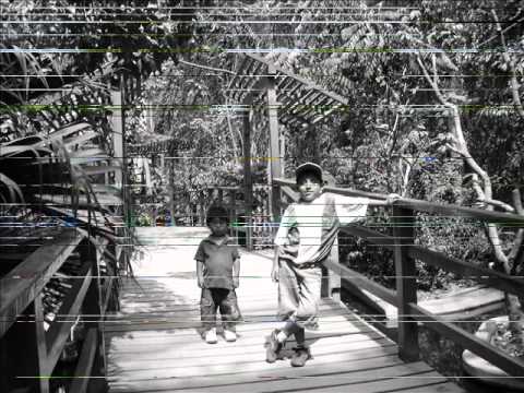 tony dize el doctorado danny