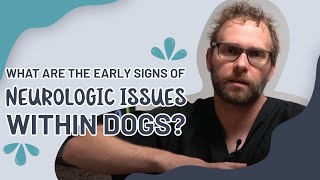 What Are Early Signs of Neurologic Issues Within Dogs?