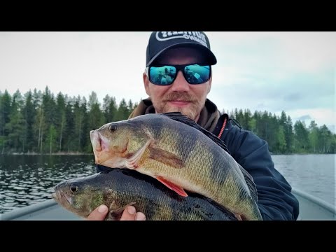 AHVENTA & KUHHOO | BLADELLA JA JIGILLÄ | KALAT FILEIKSI VENEESSÄ!