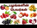 50 பழங்களின் பெயர்கள் Learn 50 Fruits Name For Kids And Childrens 