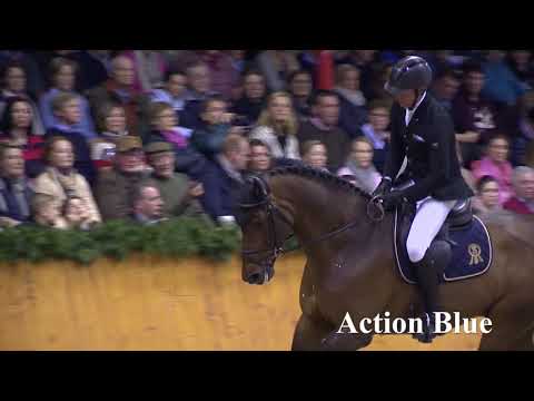 Action Blue Hengstkollektion Englisch 2019