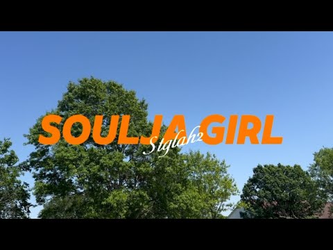 Soulja girl remix ( official music video)