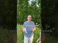 Native Plants vs. Cultivars: Why We Choose Restoration-Grade Natives