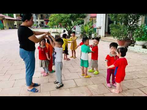 HĐNT: QUAN SÁT CÂY SẤU 3-4TA2