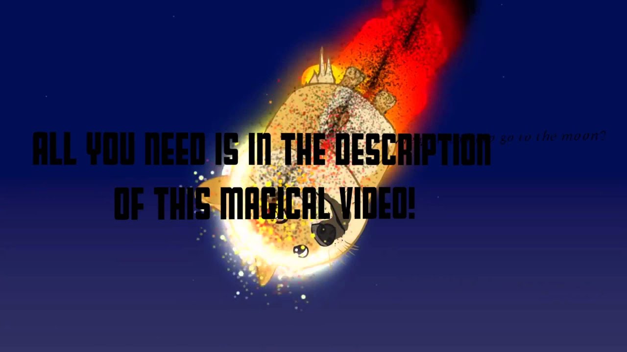 What Are Doge Coins?