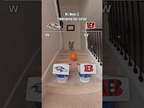NFL Week 13 Baltimore Ravens vs Cincinnati Bengals, who closes Thanksgiving with that DUB? 🤷🏻‍♂️