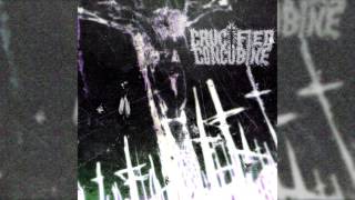 Download lagu Crucified Concubine - Stillborn of a Virgin (Slamming Brutal Death Metal Instrumental) mp3