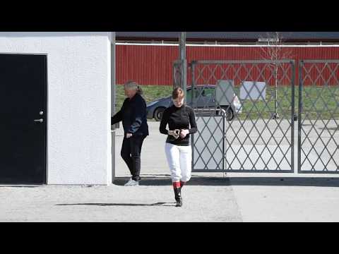 Galopptävlingar utan publik