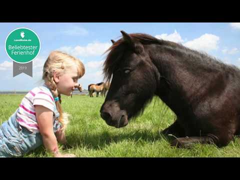 Video 11 aus  Erlebnis-Bauernhof Kliewe auf der Insel Rügen