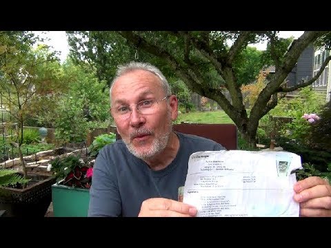 HBW 230:  BIG ANNOUCEMENT & a Friends Homebrew I saved from 2013