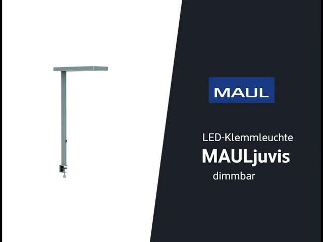 Video Teaser für MAULjuvis Standleuchte mit Klemmfuß - silber
