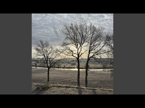 Når sneen falder kold og hvid