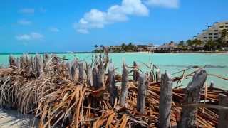 Pontus in Mexico 2013