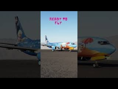 RC Elsa 737 Jet Painting