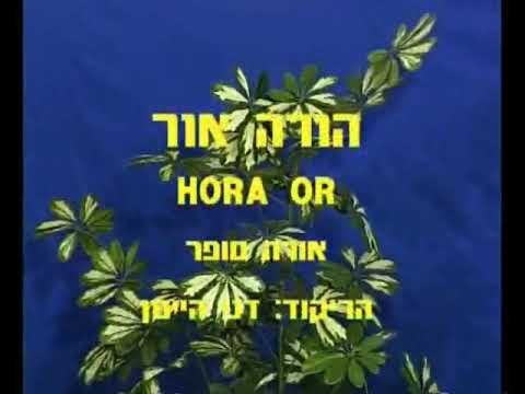 Hora Or - Dance | הורה אור - ריקוד
