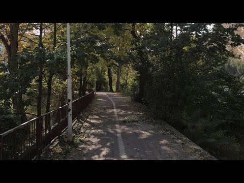 Cem Adrian - Bu Yollar Hep Sana Çıkar (ft. Hande Mehan) | Sözleri
