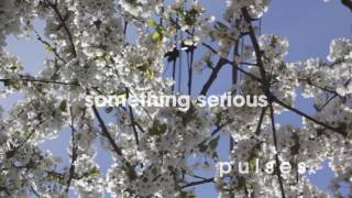 Music video thumbnail preview for pulses. - Something Serious by pulses.