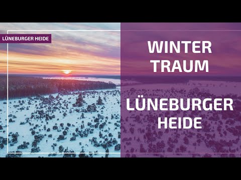 Die traumhafte Winterlandschaft der Lüneburger Heide