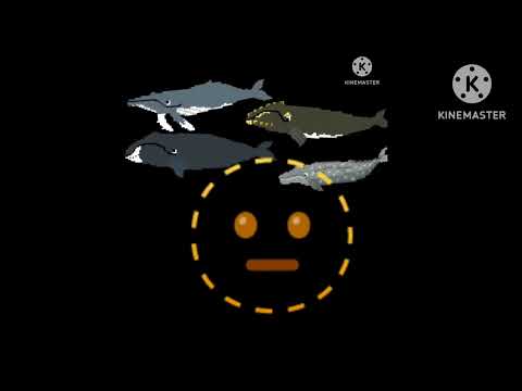 find the animals 2 2.0