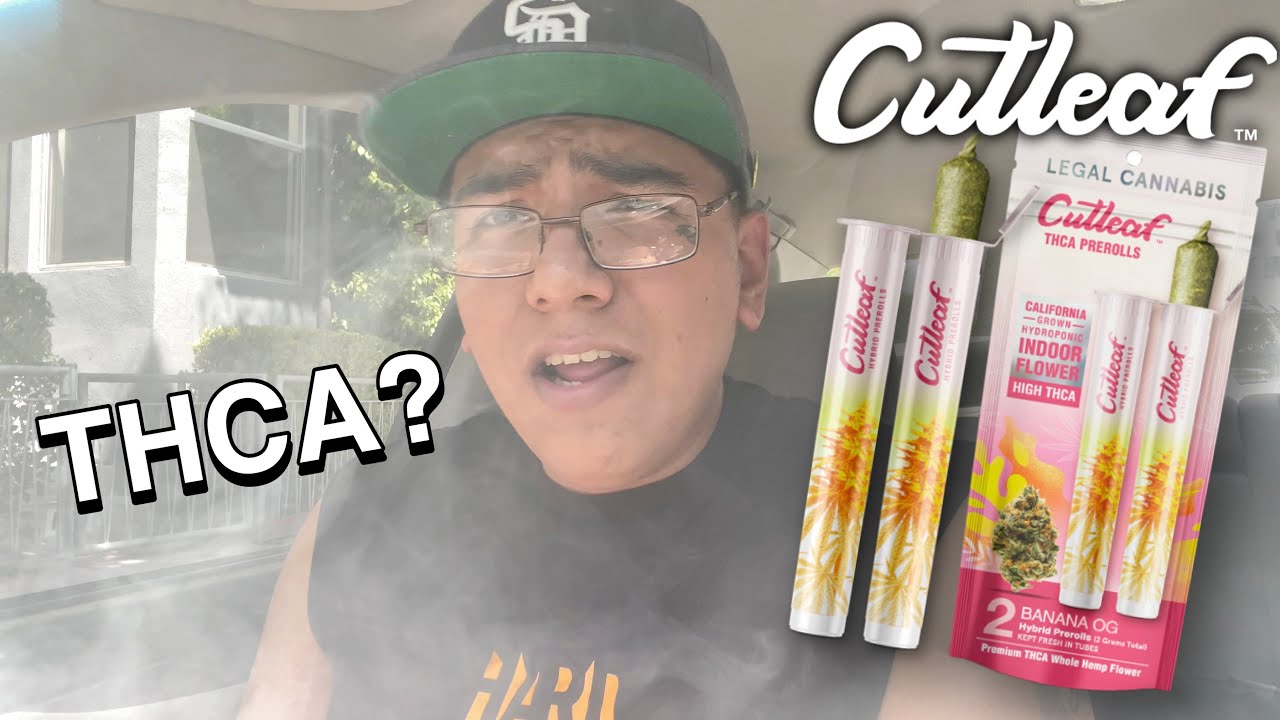 Cutleaf THCA Pre-Roll Review!