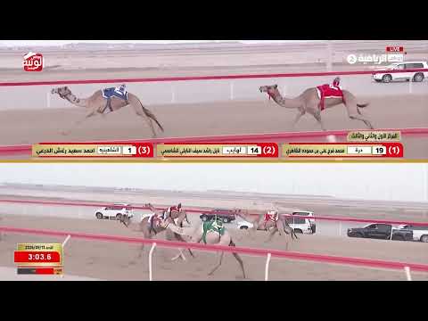 ش 2 (لهايب) لـ نايل راشد بن سيف النايلي الشامسي 6:09:18 ، شارة الديوان 2026/9/13 إيذاع الوثبة