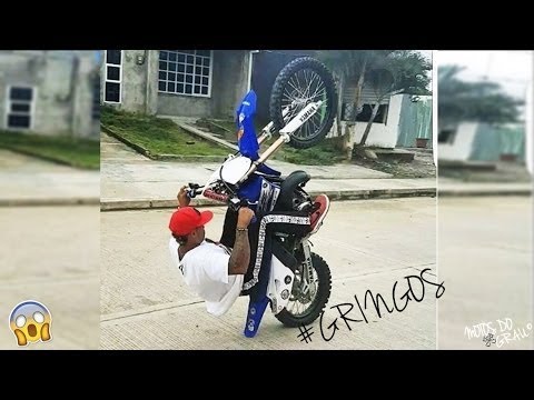 MC Mãozinha e MC PP da VS - Cachorro Vacinado (Grau dos gringos !)