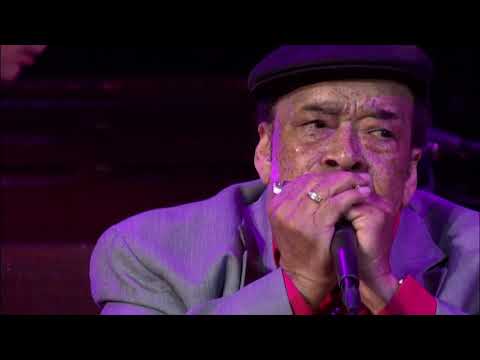 Downchild - "What Was I Thinking" (Featuring James Cotton)
