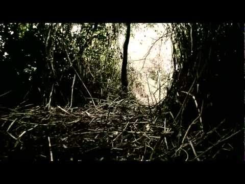 True Life Soldiers 2 - PROMO