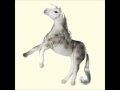 Tollund Men - Goodbye Horses 