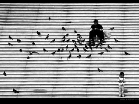 Halvet-i Mesk - Salincagimi Kaptilar