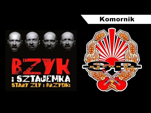 BZYK I SZTAJEMKA - Komornik [OFFICIAL AUDIO]