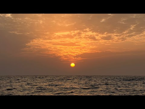 VillaBanks - Droghe Esotiche (Official Video)