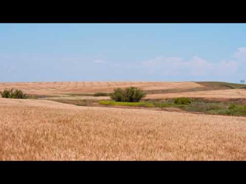 「健康的ですらある」:カール・ローターバッハは1日1杯のビールを推奨