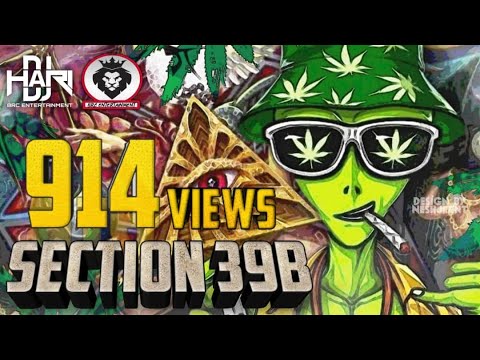 DJ Hari - Section 39B | (Official Audio Remix)