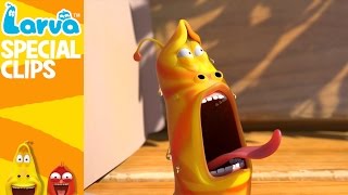 Download lagu  Gulp Gulp - 1 MIN - Fun Clips from Animation LARVA mp3
