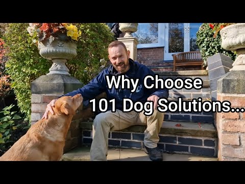 101 Dog Solutions video.