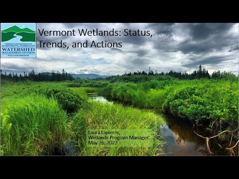 , title : 'Clean Water Lecture Series: How are Vermont's Wetlands Doing and How Can I Support Them?'