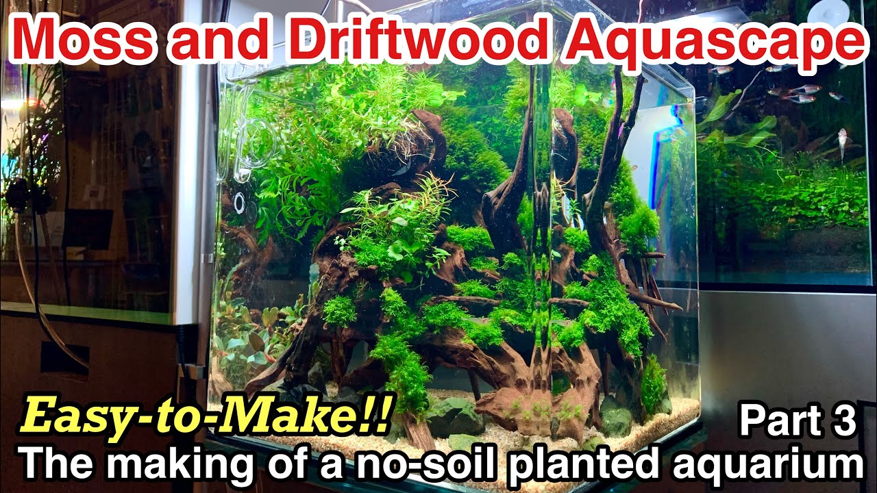 Building a 30cm Planted aquarium Without Any Soil ③ “Adding Water” The making of ADA nature aquarium