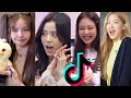 BLACKPINK Funny Moments TikTok Compilation Try Not To Laugh Challenge