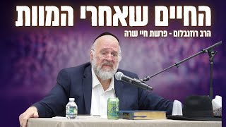 החיים שאחרי המוות ע״פ מדרשי חז״ל – הרב רוזנבלום בשיעור עוצמתי על פרשת חיי שרה (פ"ד) (הרב ברוך רוזנבלום) - התמונה מוצגת ישירות מתוך אתר האינטרנט יוטיוב. זכויות היוצרים בתמונה שייכות ליוצרה. קישור קרדיט למקור התוכן נמצא בתוך דף הסרטון