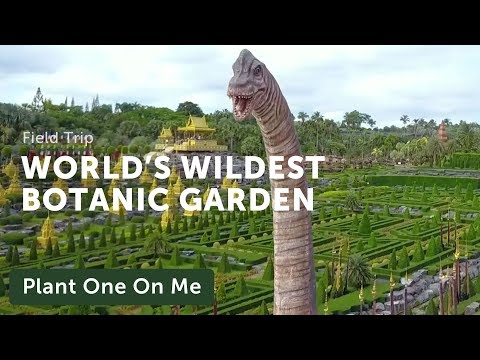 Nong Nooch: The World's Wildest Botanic Garden  — Ep. 144