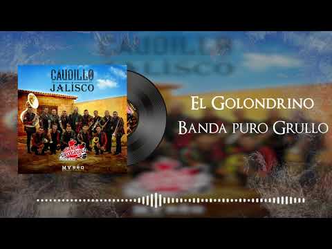 Banda Puro Grullo - El Golondrino "Audio "