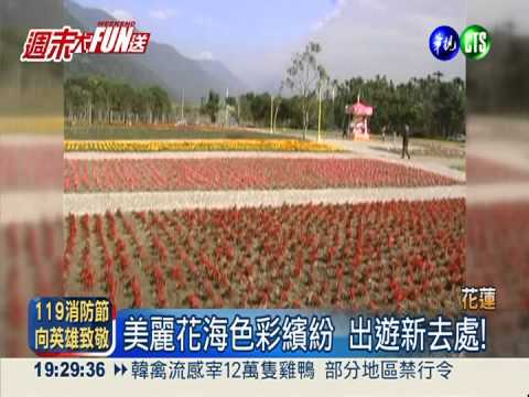 荒地翻身!17種花卉打造3公頃花海