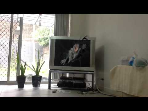 Aliens raid my house!